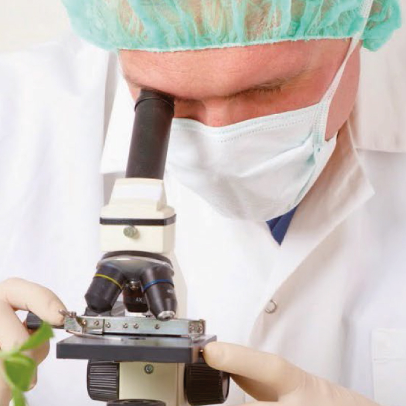 Gestión de la Inocuidad Alimentaria