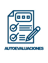 autoevaluaciones